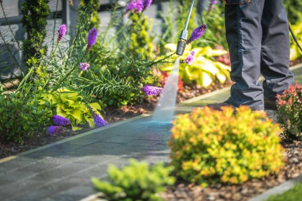 Best Sidewalk and Walkway Cleaning  in , IL